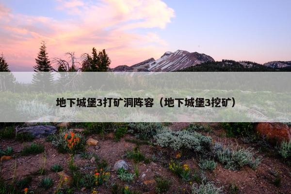 地下城堡3打矿洞阵容（地下城堡3挖矿）