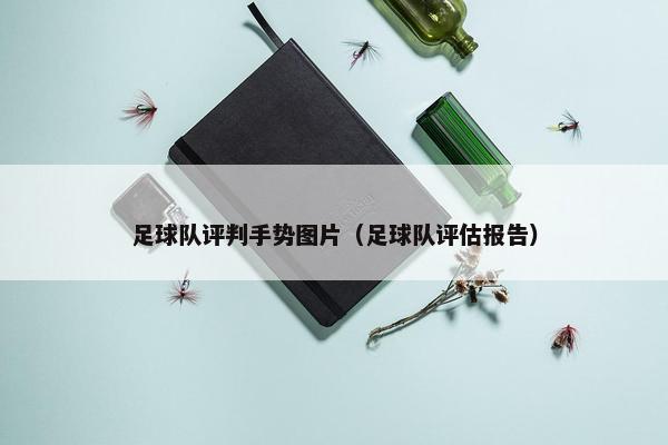 足球队评判手势图片（足球队评估报告）
