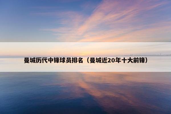 曼城历代中锋球员排名（曼城近20年十大前锋）
