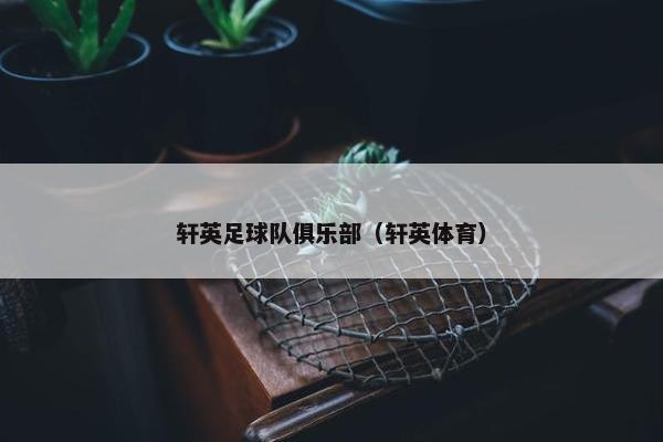 轩英足球队俱乐部（轩英体育）