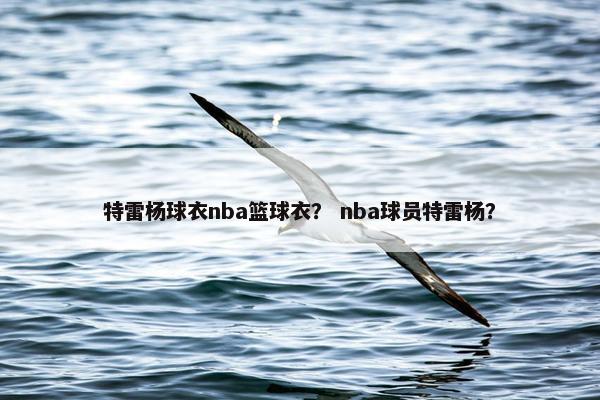 特雷杨球衣nba篮球衣？ nba球员特雷杨？