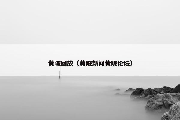 黄陂回放（黄陂新闻黄陂论坛）