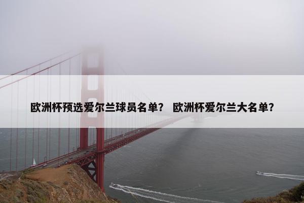 欧洲杯预选爱尔兰球员名单？ 欧洲杯爱尔兰大名单？