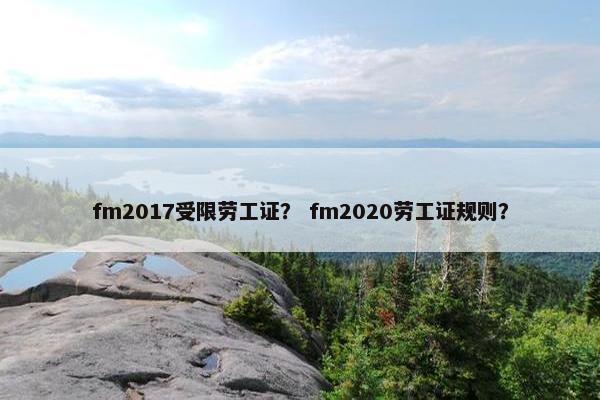 fm2017受限劳工证？ fm2020劳工证规则？