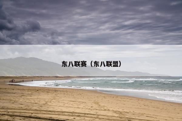 东八联赛（东八联盟）