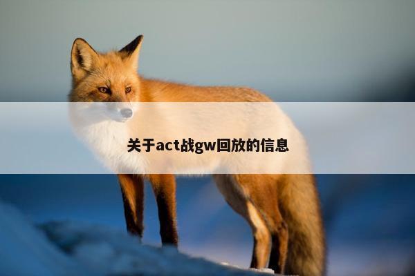 关于act战gw回放的信息
