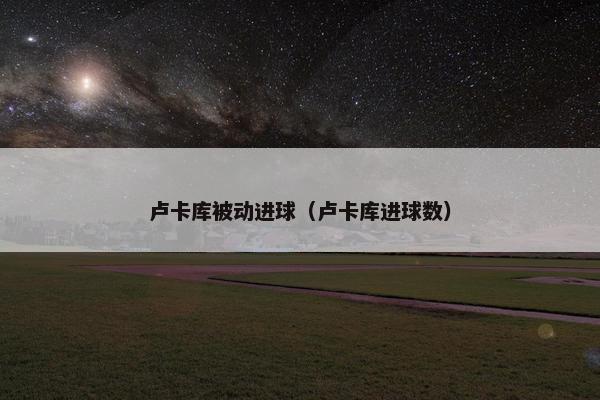 卢卡库被动进球（卢卡库进球数）