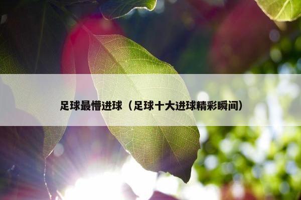 足球最懵进球（足球十大进球精彩瞬间）