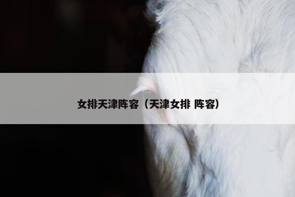 女排天津阵容（天津女排 阵容）