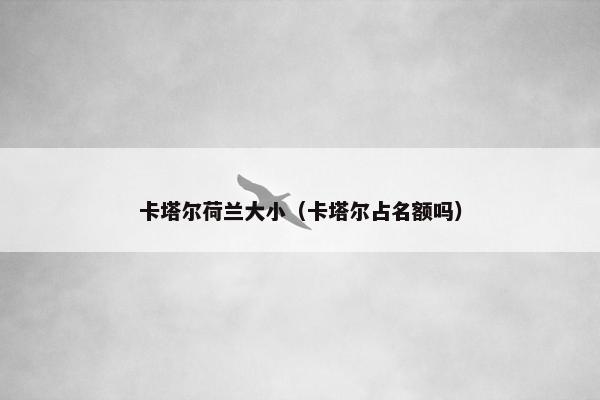 卡塔尔荷兰大小（卡塔尔占名额吗）