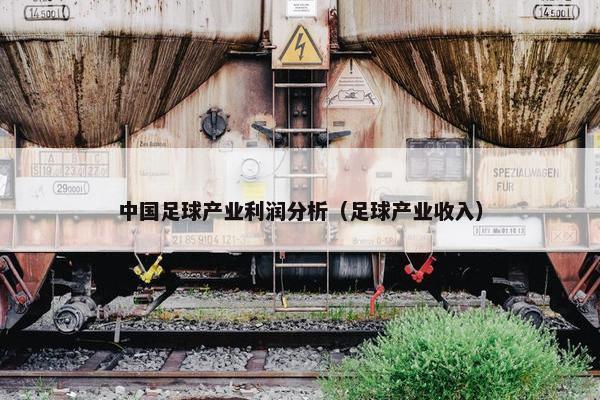 中国足球产业利润分析（足球产业收入）