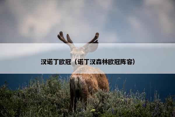 汉诺丁欧冠（诺丁汉森林欧冠阵容）