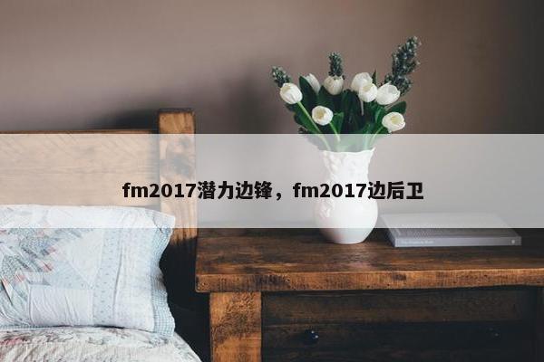 fm2017潜力边锋，fm2017边后卫