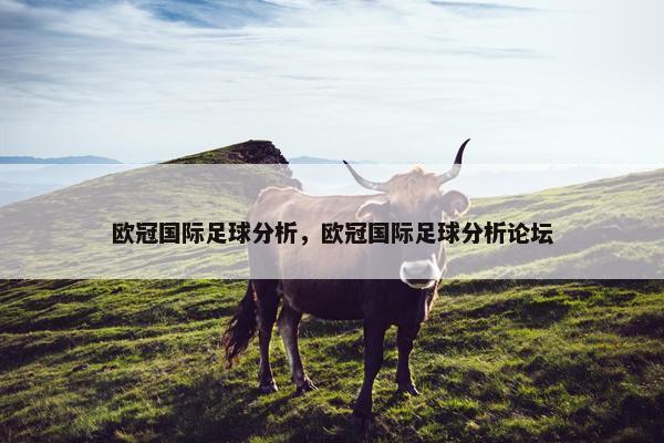 欧冠国际足球分析,欧冠国际足球分析论坛 欧冠国际足球分析,欧冠国际足球分析论坛