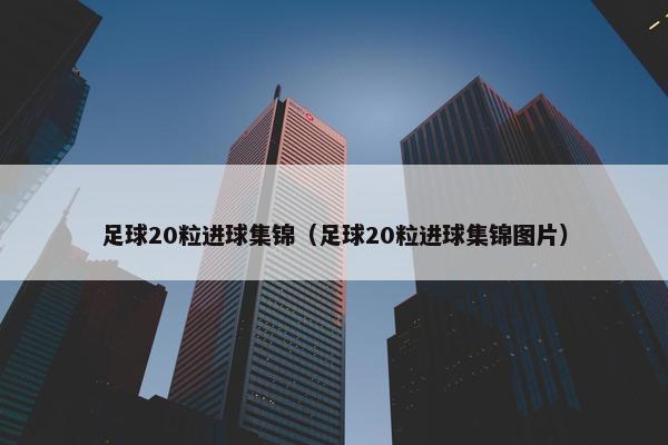 足球20粒进球集锦（足球20粒进球集锦图片）