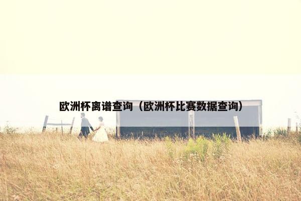 欧洲杯离谱查询（欧洲杯比赛数据查询）