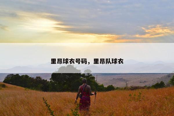里昂球衣号码,里昂队球衣 里昂球衣号码,里昂队球衣