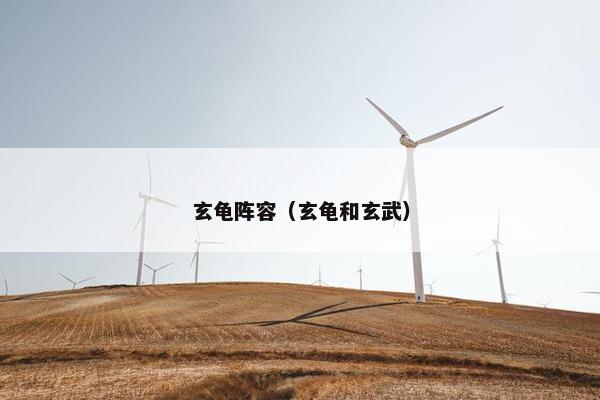 玄龟阵容（玄龟和玄武）