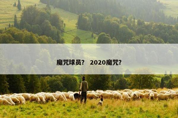 魔咒球员？ 2020魔咒？