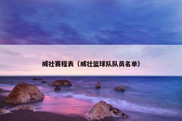 威壮赛程表（威壮篮球队队员名单）