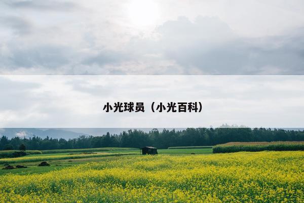 小光球员(小光百科) 小光球员(小光百科)