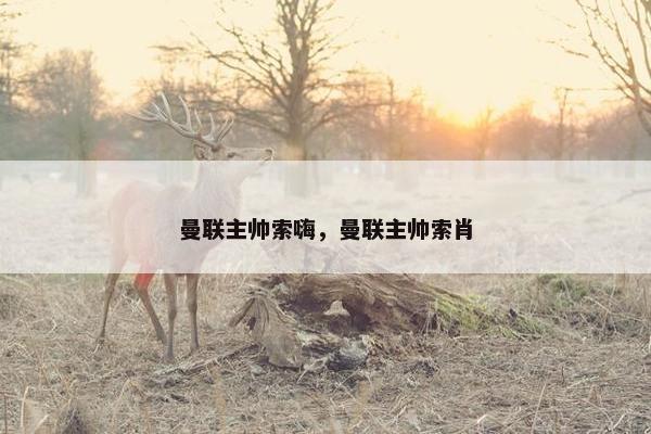 曼联主帅索嗨，曼联主帅索肖