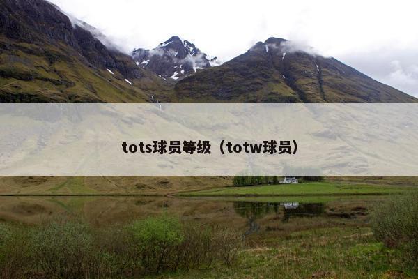 tots球员等级（totw球员）
