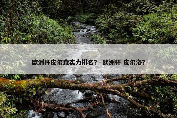 欧洲杯皮尔森实力排名？ 欧洲杯 皮尔洛？