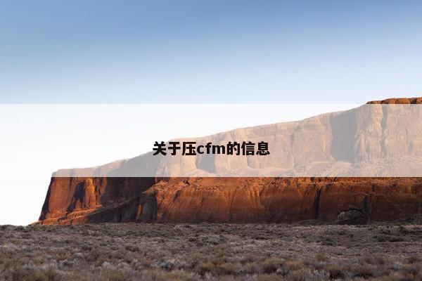 关于压cfm的信息
