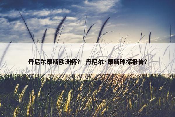 丹尼尔泰斯欧洲杯？ 丹尼尔·泰斯球探报告？