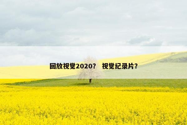 回放视觉2020？ 视觉纪录片？