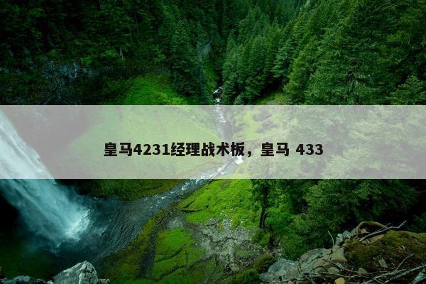 皇马4231经理战术板，皇马 433