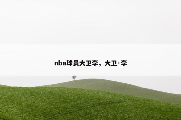 nba球员大卫李，大卫·李