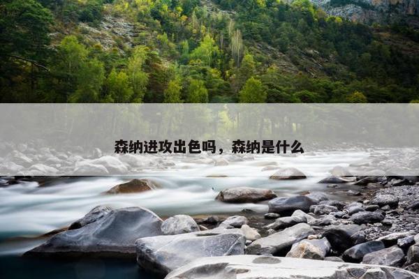 森纳进攻出色吗，森纳是什么