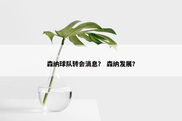 森纳球队转会消息？ 森纳发展？