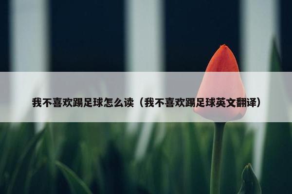 我不喜欢踢足球怎么读(我不喜欢踢足球英文翻译) 我不喜欢踢足球怎么读(我不喜欢踢足球英文翻译)