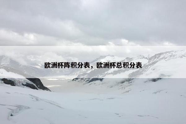 欧洲杯阵积分表，欧洲杯总积分表