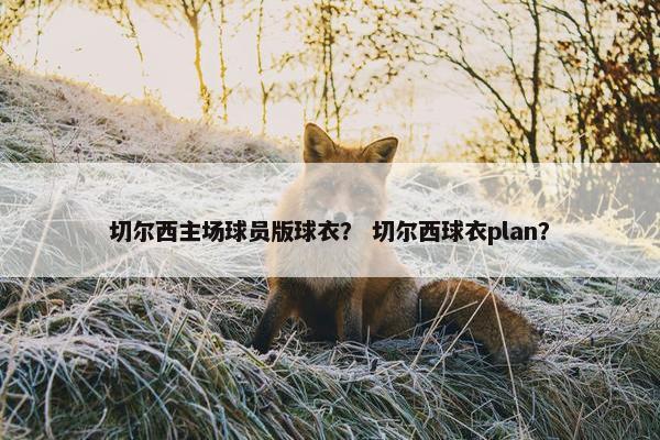 切尔西主场球员版球衣？ 切尔西球衣plan？