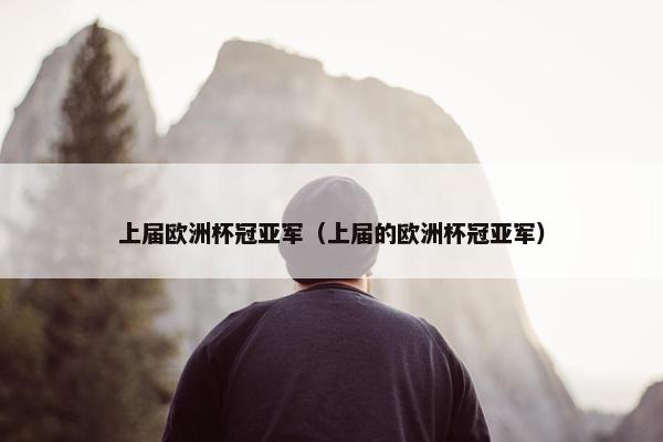 上届欧洲杯冠亚军（上届的欧洲杯冠亚军）