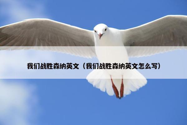 我们战胜森纳英文（我们战胜森纳英文怎么写）