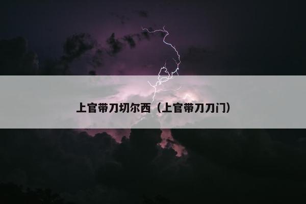 上官带刀切尔西（上官带刀刀门）