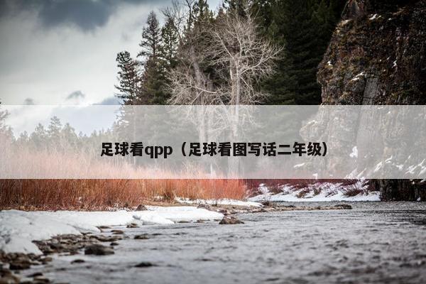 足球看qpp（足球看图写话二年级）