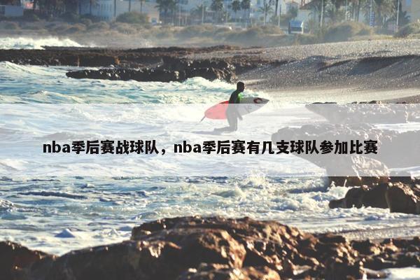 nba季后赛战球队，nba季后赛有几支球队参加比赛
