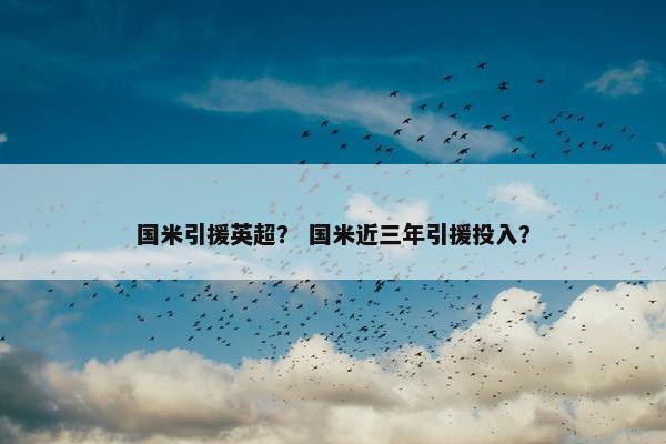 国米引援英超？ 国米近三年引援投入？
