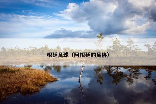 根廷足球（阿根廷的足协）