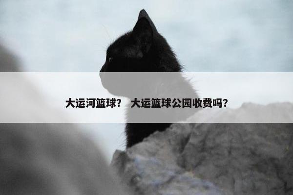 大运河篮球？ 大运篮球公园收费吗？