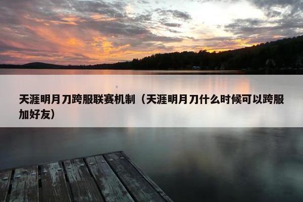 天涯明月刀跨服联赛机制（天涯明月刀什么时候可以跨服加好友）