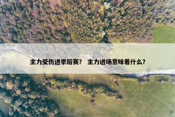 主力受伤进季后赛？ 主力进场意味着什么？