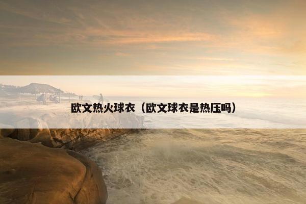 欧文热火球衣（欧文球衣是热压吗）