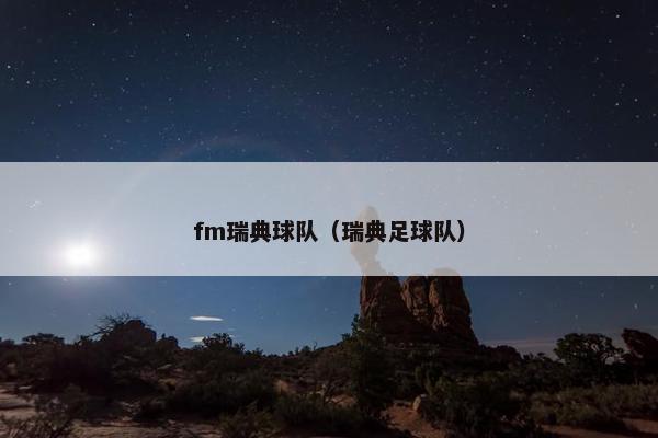 fm瑞典球队（瑞典足球队）